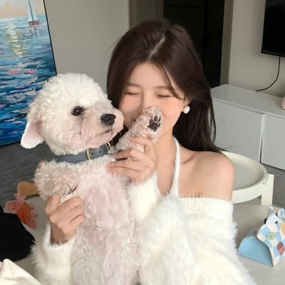 觅影记 海报