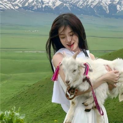 终极斗士4 海报